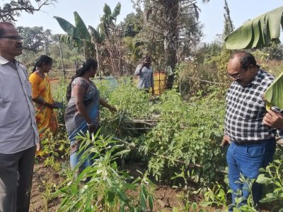 Thatigudem Agro Forestry Mango — 2026 04 11 at 10.33.04 PM 1
